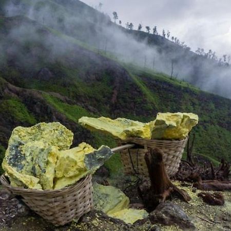 Ijen Basecamp & Homestay Ketapang  Ngoại thất bức ảnh